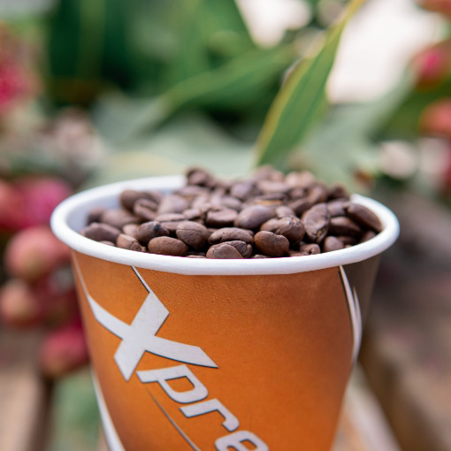 xpresso-beans-cup
